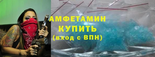 индика Алексеевка