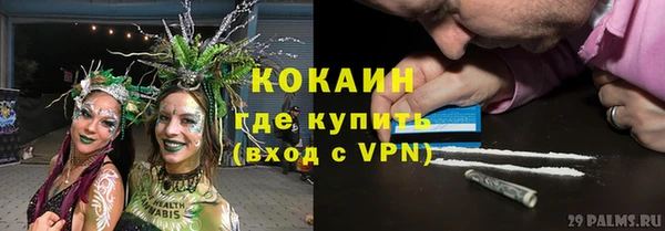 индика Алексеевка