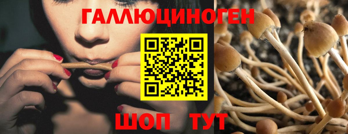 Барнаул  Галлюциногенные грибы ЛСД  Вход с VPN 